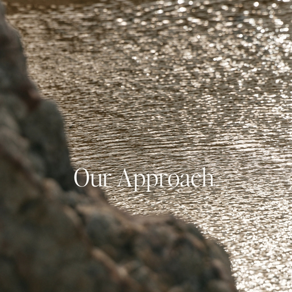 Our Approach - M A Y E